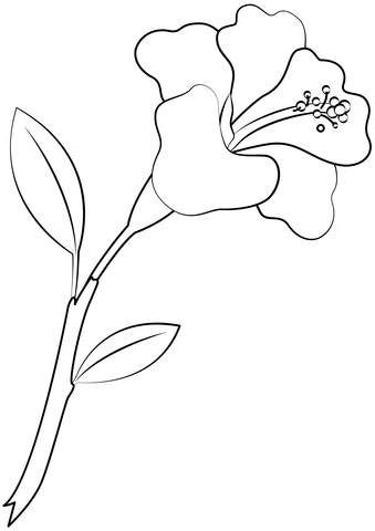 Hibiscus Flower Coloring Page